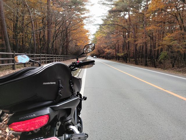 山中湖 紅葉