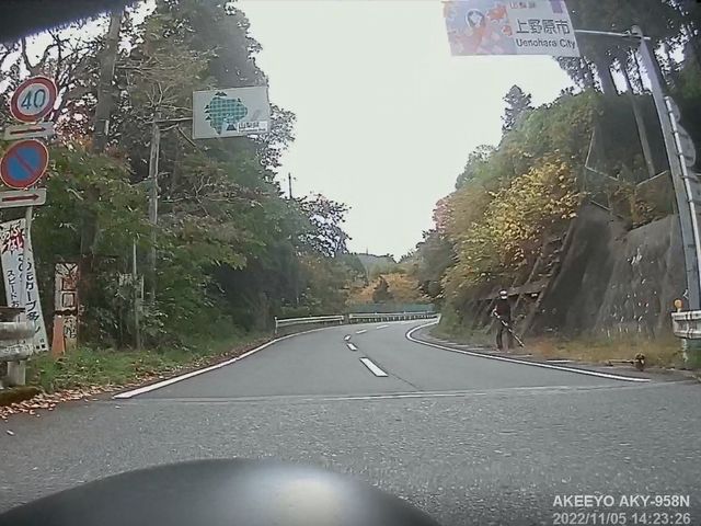 県道76号線の紅葉