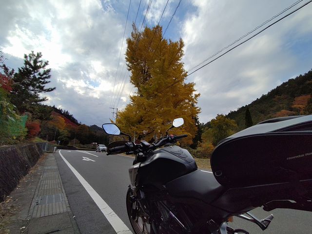 県道76号線の紅葉