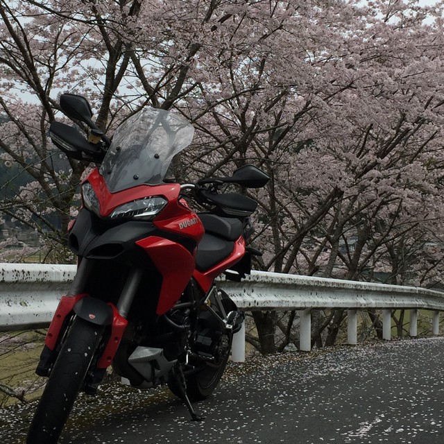 ドゥカティ Multistrada 1200Sを「バイクワン」で査定・売却した体験談・口コミ